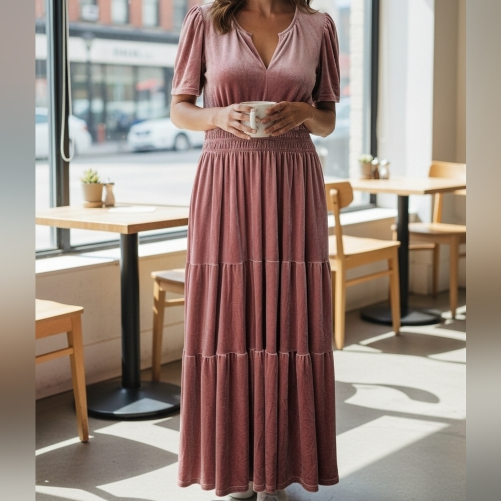 See and Be Seen Smocked Pocketed Velvet Dress NEW Womens Size 1X